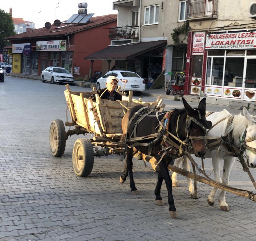 ÜYELERİMİZDEN GELENLER